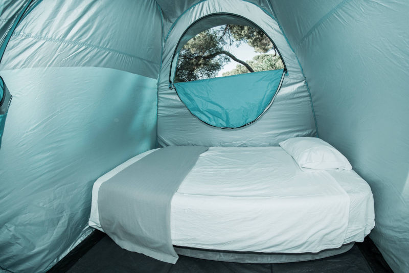 DELUXE INDIVIDUAL ZEVRA FESTIVAL 2024